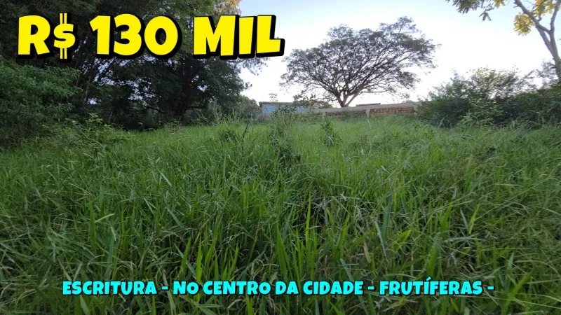 Santo Antônio da Patrulha - Código: 90889