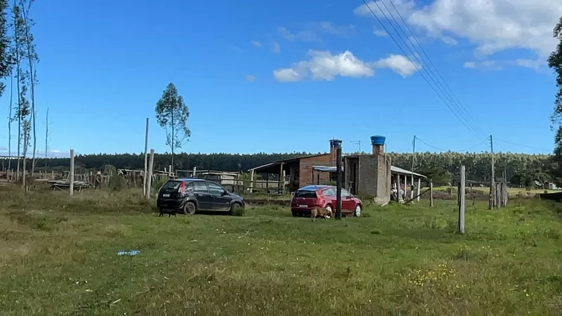 Santo Antônio da Patrulha - Código: 104158